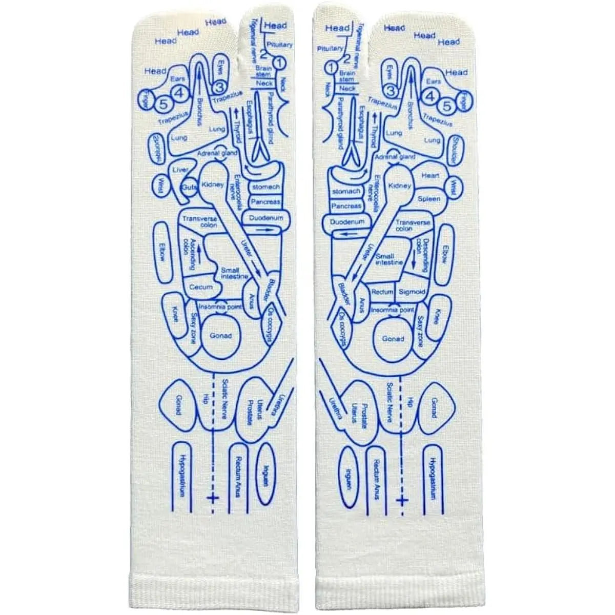 Reflexology Massage Socks